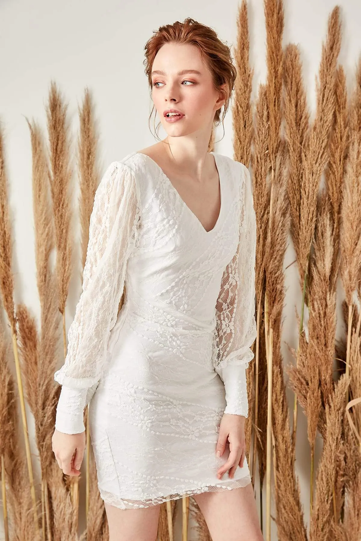 10925 Ecru Embroidered Lace Mini Dress
