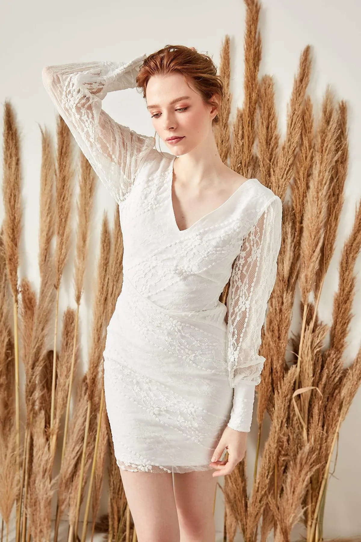 10925 Ecru Embroidered Lace Mini Dress