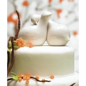 Contemporary Love Birds Cake Topper