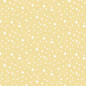 Wild One Flannel-  ST-F2623POPCORN